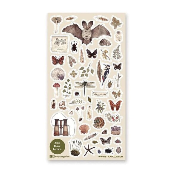3 for $15 - NEW The Naturalist Sticker Sheet with‎ Insect & Plant Stickers - Picture 2 of 3
